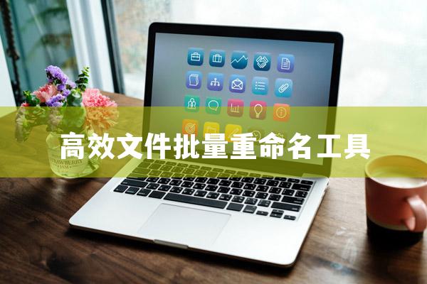 MiniRenamer 高效文件批量重命名工具.jpg