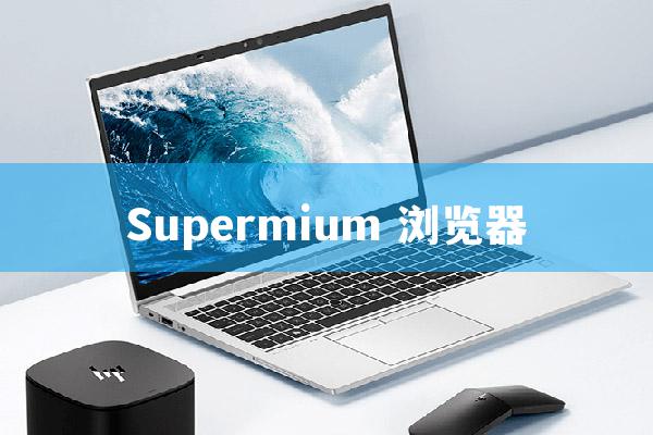 Supermium 浏览器.jpg